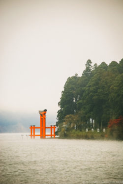 Hakone Shrine torii gate on Lake Ashi - Hakone Lake Ashi Guide | www.justonecookbook.com