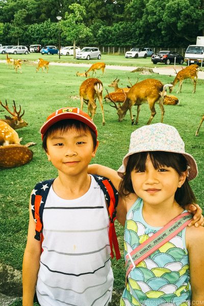 children in front of deer in Nara Park - Nara Guide: Things to do in Nara | www.justonecookbook.com